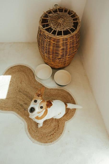 度假居 Sol Living *